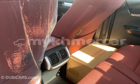 Buy Import Toyota Hilux Other Car in Import - Dubai in Kampot Province Buy Import Toyota Hilux Other Car in Import - Dubai in Kampot Province