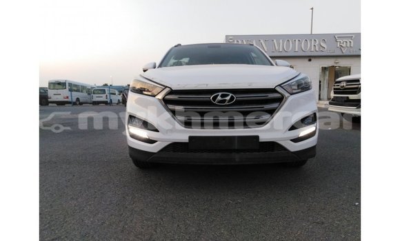 Buy Import Hyundai Tucson White Car in Import - Dubai in Kampot Province Buy Import Hyundai Tucson White Car in Import - Dubai in Kampot Province