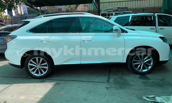 Buy Used Lexus RX 350 White Car in Phnom Penh in Phnom Penh Buy Used Lexus RX 350 White Car in Phnom Penh in Phnom Penh