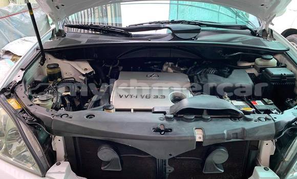 Buy Used Lexus RX 330 White Car in Phnom Penh in Phnom Penh Buy Used Lexus RX 330 White Car in Phnom Penh in Phnom Penh