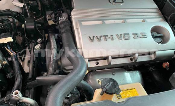 Buy Used Lexus RX 330 White Car in Phnom Penh in Phnom Penh Buy Used Lexus RX 330 White Car in Phnom Penh in Phnom Penh