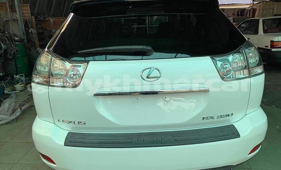 Buy Used Lexus RX 330 White Car in Phnom Penh in Phnom Penh Buy Used Lexus RX 330 White Car in Phnom Penh in Phnom Penh