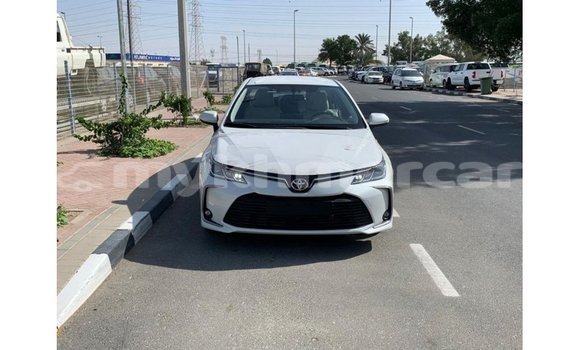 Buy Import Toyota Corolla White Car in Import - Dubai in Kampot Province Buy Import Toyota Corolla White Car in Import - Dubai in Kampot Province