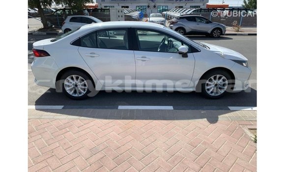 Buy Import Toyota Corolla White Car in Import - Dubai in Kampot Province Buy Import Toyota Corolla White Car in Import - Dubai in Kampot Province