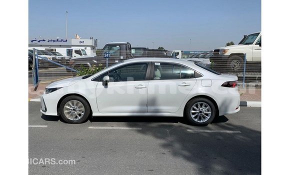 Buy Import Toyota Corolla White Car in Import - Dubai in Kampot Province Buy Import Toyota Corolla White Car in Import - Dubai in Kampot Province