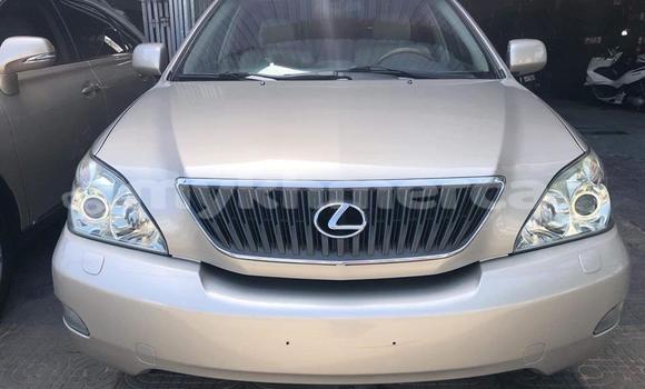 Buy Used Lexus RX 330 Silver Car in Phnom Penh in Phnom Penh Buy Used Lexus RX 330 Silver Car in Phnom Penh in Phnom Penh