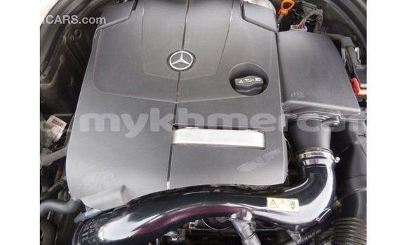 ទិញ នាំចូល Mercedes-Benz 190 (W201) Black ឡាន} ក្នុង Import - Dubai ក្នុង Kampot Province ទិញ នាំចូល Mercedes-Benz 190 (W201) Black ឡាន} ក្នុង Import - Dubai ក្នុង Kampot Province