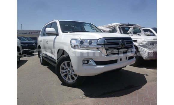ទិញ នាំចូល Toyota Land Cruiser White ឡាន} ក្នុង Import - Dubai ក្នុង Kampot Province ទិញ នាំចូល Toyota Land Cruiser White ឡាន} ក្នុង Import - Dubai ក្នុង Kampot Province