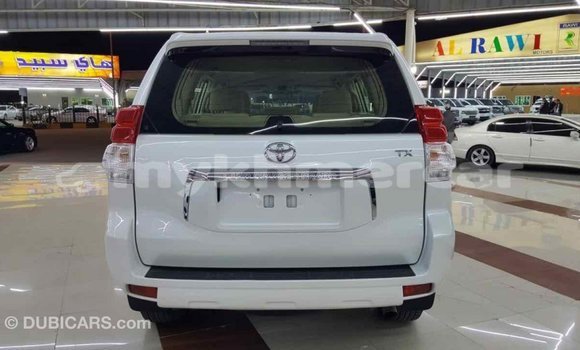 ទិញ នាំចូល Toyota Prado White ឡាន} ក្នុង Import - Dubai ក្នុង Kampot Province ទិញ នាំចូល Toyota Prado White ឡាន} ក្នុង Import - Dubai ក្នុង Kampot Province