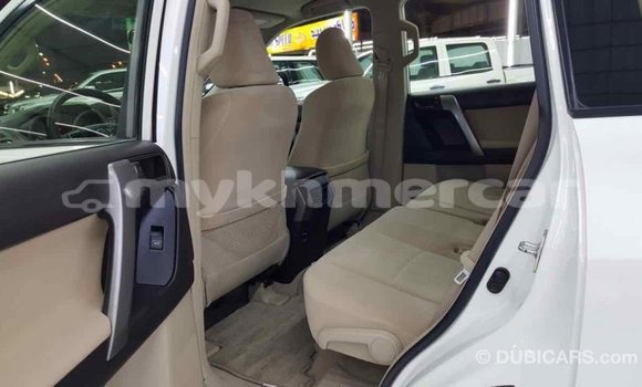 ទិញ នាំចូល Toyota Prado White ឡាន} ក្នុង Import - Dubai ក្នុង Kampot Province ទិញ នាំចូល Toyota Prado White ឡាន} ក្នុង Import - Dubai ក្នុង Kampot Province