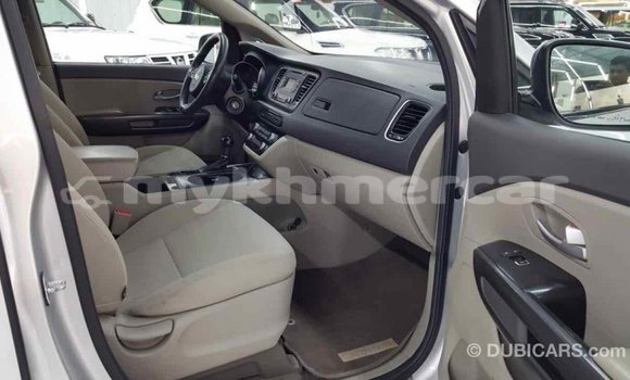 ទិញ នាំចូល Kia Carnival Other ឡាន} ក្នុង Import - Dubai ក្នុង Kampot Province ទិញ នាំចូល Kia Carnival Other ឡាន} ក្នុង Import - Dubai ក្នុង Kampot Province