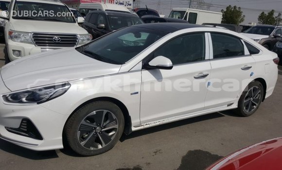 Buy Import Hyundai Sonata White Car in Import - Dubai in Kampot Province Buy Import Hyundai Sonata White Car in Import - Dubai in Kampot Province