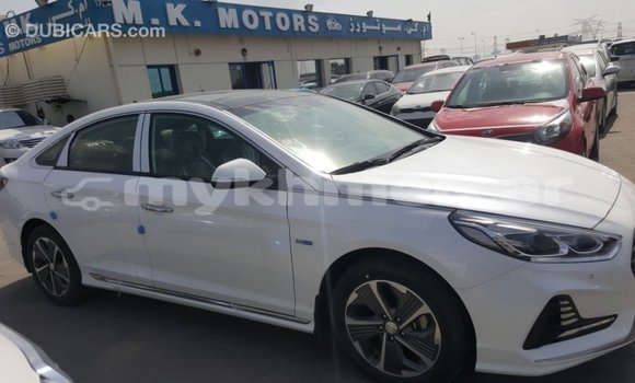 Buy Import Hyundai Sonata White Car in Import - Dubai in Kampot Province Buy Import Hyundai Sonata White Car in Import - Dubai in Kampot Province
