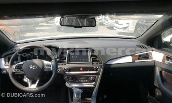 Buy Import Hyundai Sonata White Car in Import - Dubai in Kampot Province Buy Import Hyundai Sonata White Car in Import - Dubai in Kampot Province