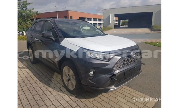 Buy Import Toyota RAV4 Other Car in Import - Dubai in Kampot Province Buy Import Toyota RAV4 Other Car in Import - Dubai in Kampot Province