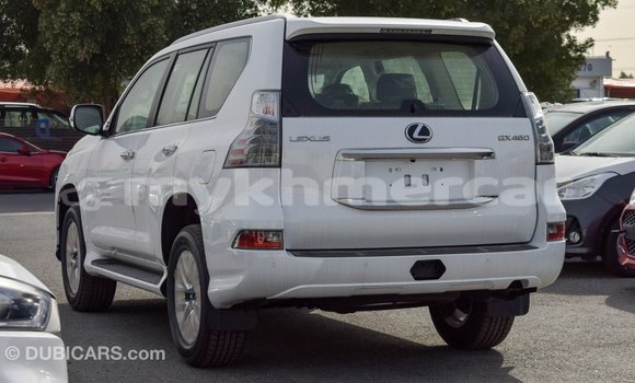 Acheter Import Voiture Lexus GX Blanc à Import - Dubai, Kampot Province Acheter Import Voiture Lexus GX Blanc à Import - Dubai, Kampot Province