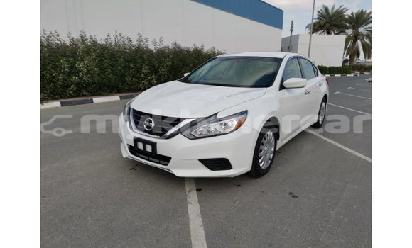 Buy Import Nissan Altima White Car in Import - Dubai in Kampot Province Buy Import Nissan Altima White Car in Import - Dubai in Kampot Province