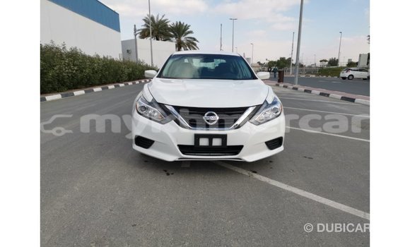 Buy Import Nissan Altima White Car in Import - Dubai in Kampot Province Buy Import Nissan Altima White Car in Import - Dubai in Kampot Province