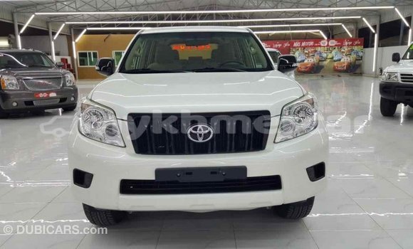ទិញ នាំចូល Toyota Prado White ឡាន} ក្នុង Import - Dubai ក្នុង Kampot Province ទិញ នាំចូល Toyota Prado White ឡាន} ក្នុង Import - Dubai ក្នុង Kampot Province