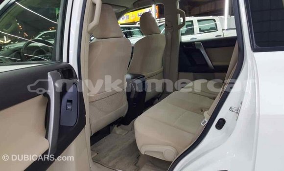 ទិញ នាំចូល Toyota Prado White ឡាន} ក្នុង Import - Dubai ក្នុង Kampot Province ទិញ នាំចូល Toyota Prado White ឡាន} ក្នុង Import - Dubai ក្នុង Kampot Province