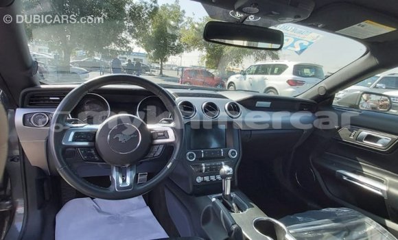 Acheter Import Voiture Ford Mustang Autre à Import - Dubai, Kampot Province Acheter Import Voiture Ford Mustang Autre à Import - Dubai, Kampot Province