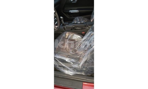 Acheter Import Voiture Ford Mustang Rouge à Import - Dubai, Kampot Province Acheter Import Voiture Ford Mustang Rouge à Import - Dubai, Kampot Province