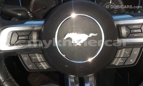 Acheter Import Voiture Ford Mustang Rouge à Import - Dubai, Kampot Province Acheter Import Voiture Ford Mustang Rouge à Import - Dubai, Kampot Province