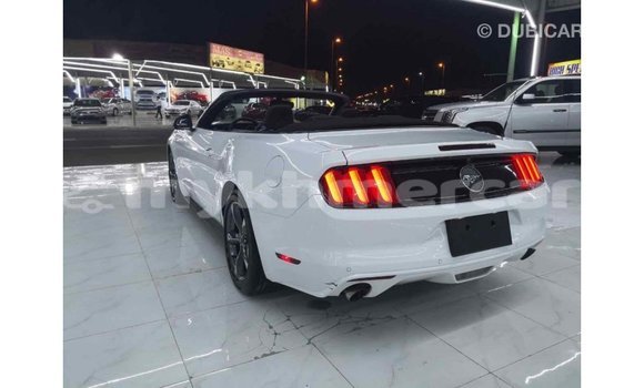 ទិញ នាំចូល Ford Mustang White ឡាន} ក្នុង Import - Dubai ក្នុង Kampot Province ទិញ នាំចូល Ford Mustang White ឡាន} ក្នុង Import - Dubai ក្នុង Kampot Province