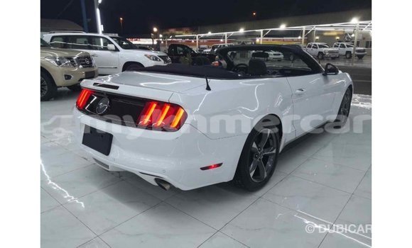 ទិញ នាំចូល Ford Mustang White ឡាន} ក្នុង Import - Dubai ក្នុង Kampot Province ទិញ នាំចូល Ford Mustang White ឡាន} ក្នុង Import - Dubai ក្នុង Kampot Province