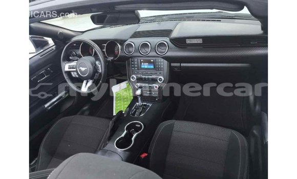 ទិញ នាំចូល Ford Mustang White ឡាន} ក្នុង Import - Dubai ក្នុង Kampot Province ទិញ នាំចូល Ford Mustang White ឡាន} ក្នុង Import - Dubai ក្នុង Kampot Province