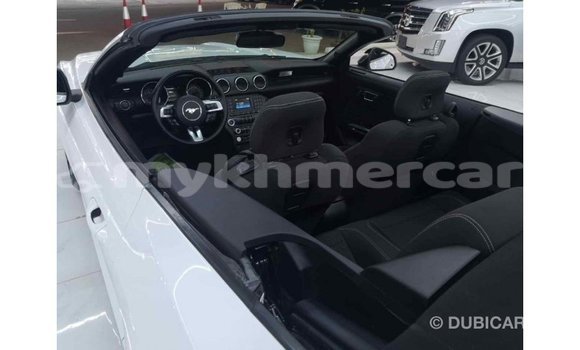 ទិញ នាំចូល Ford Mustang White ឡាន} ក្នុង Import - Dubai ក្នុង Kampot Province ទិញ នាំចូល Ford Mustang White ឡាន} ក្នុង Import - Dubai ក្នុង Kampot Province