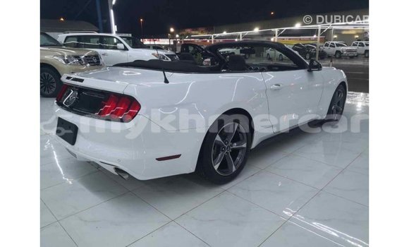 Buy Import Ford Mustang White Car in Import - Dubai in Kampot Province