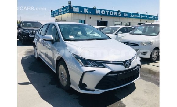Buy Import Toyota Corolla White Car in Import - Dubai in Kampot Province Buy Import Toyota Corolla White Car in Import - Dubai in Kampot Province