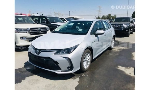 Buy Import Toyota Corolla White Car in Import - Dubai in Kampot Province Buy Import Toyota Corolla White Car in Import - Dubai in Kampot Province