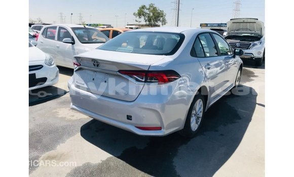 Buy Import Toyota Corolla White Car in Import - Dubai in Kampot Province Buy Import Toyota Corolla White Car in Import - Dubai in Kampot Province