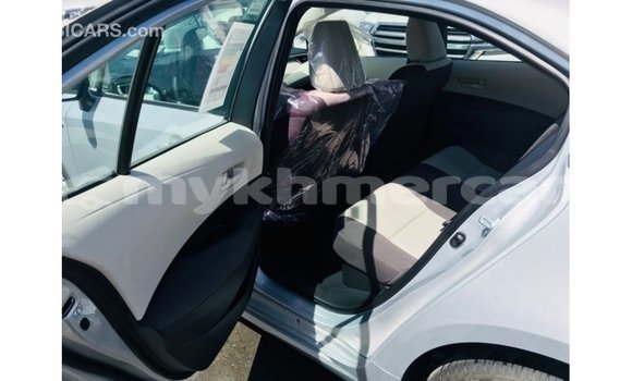 Buy Import Toyota Corolla White Car in Import - Dubai in Kampot Province Buy Import Toyota Corolla White Car in Import - Dubai in Kampot Province