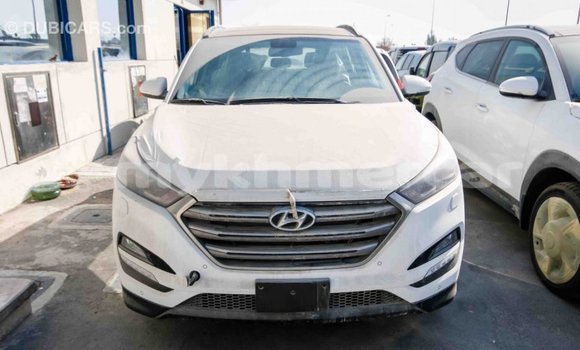 Buy Import Hyundai Tucson White Car in Import - Dubai in Kampot Province Buy Import Hyundai Tucson White Car in Import - Dubai in Kampot Province