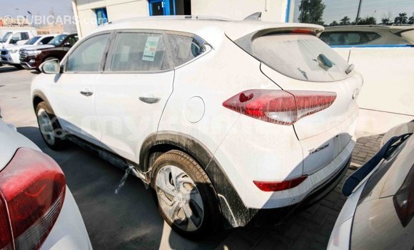 Buy Import Hyundai Tucson White Car in Import - Dubai in Kampot Province Buy Import Hyundai Tucson White Car in Import - Dubai in Kampot Province