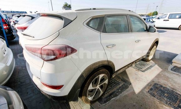 Buy Import Hyundai Tucson White Car in Import - Dubai in Kampot Province Buy Import Hyundai Tucson White Car in Import - Dubai in Kampot Province