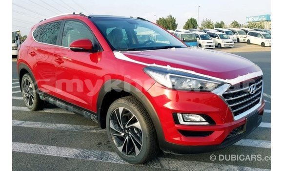 Buy Import Hyundai Tucson Red Car in Import - Dubai in Kampot Province Buy Import Hyundai Tucson Red Car in Import - Dubai in Kampot Province