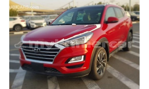 Buy Import Hyundai Tucson Red Car in Import - Dubai in Kampot Province Buy Import Hyundai Tucson Red Car in Import - Dubai in Kampot Province