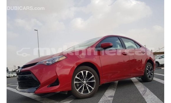 Buy Import Toyota Corolla Red Car in Import - Dubai in Kampot Province Buy Import Toyota Corolla Red Car in Import - Dubai in Kampot Province