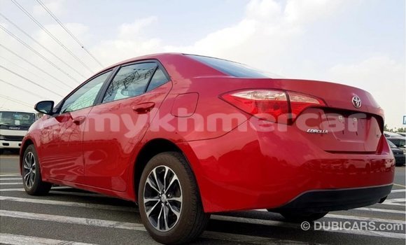 Buy Import Toyota Corolla Red Car in Import - Dubai in Kampot Province Buy Import Toyota Corolla Red Car in Import - Dubai in Kampot Province