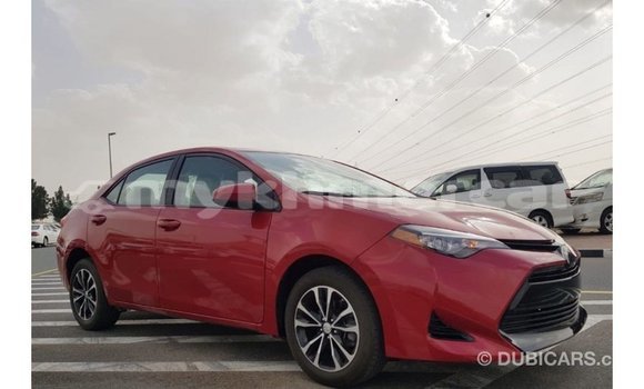 Buy Import Toyota Corolla Red Car in Import - Dubai in Kampot Province Buy Import Toyota Corolla Red Car in Import - Dubai in Kampot Province