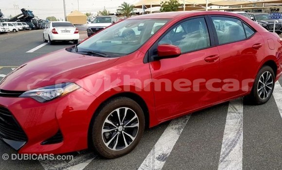 Buy Import Toyota Corolla Red Car in Import - Dubai in Kampot Province Buy Import Toyota Corolla Red Car in Import - Dubai in Kampot Province