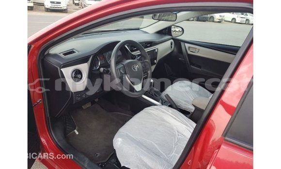 Buy Import Toyota Corolla Red Car in Import - Dubai in Kampot Province Buy Import Toyota Corolla Red Car in Import - Dubai in Kampot Province
