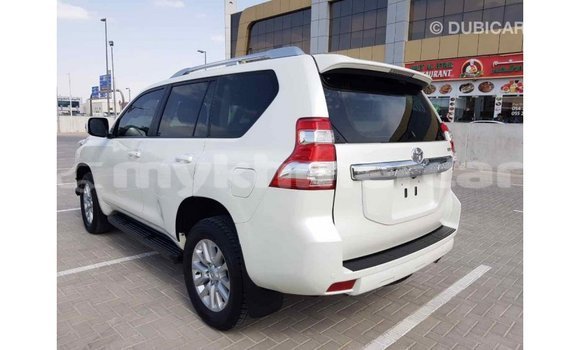 ទិញ នាំចូល Toyota Prado White ឡាន} ក្នុង Import - Dubai ក្នុង Kampot Province ទិញ នាំចូល Toyota Prado White ឡាន} ក្នុង Import - Dubai ក្នុង Kampot Province
