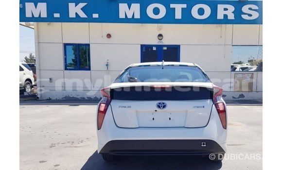 Buy Import Toyota Prius White Car in Import - Dubai in Kampot Province Buy Import Toyota Prius White Car in Import - Dubai in Kampot Province
