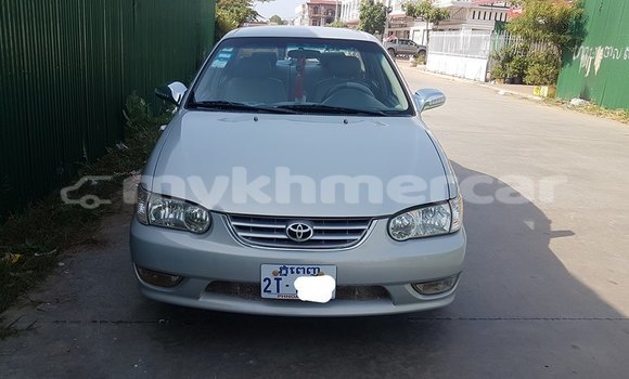 Acheter Occasion Voiture Toyota Corolla Gris à Phnom Penh, Phnom Penh Acheter Occasion Voiture Toyota Corolla Gris à Phnom Penh, Phnom Penh