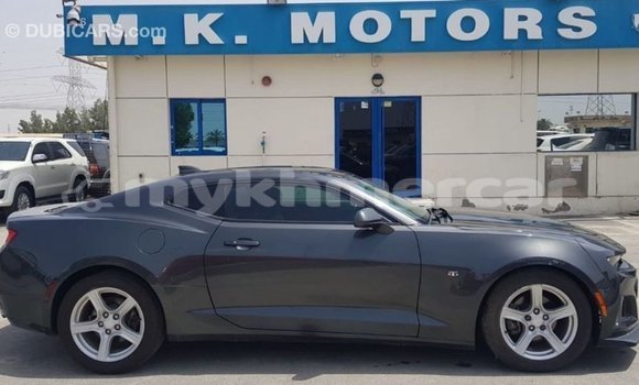 Buy Import Chevrolet Camaro Other Car in Import - Dubai in Kampot Province Buy Import Chevrolet Camaro Other Car in Import - Dubai in Kampot Province